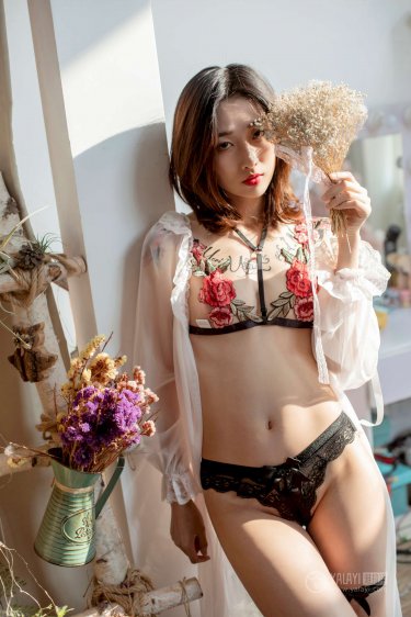 我们的翻译官演员表